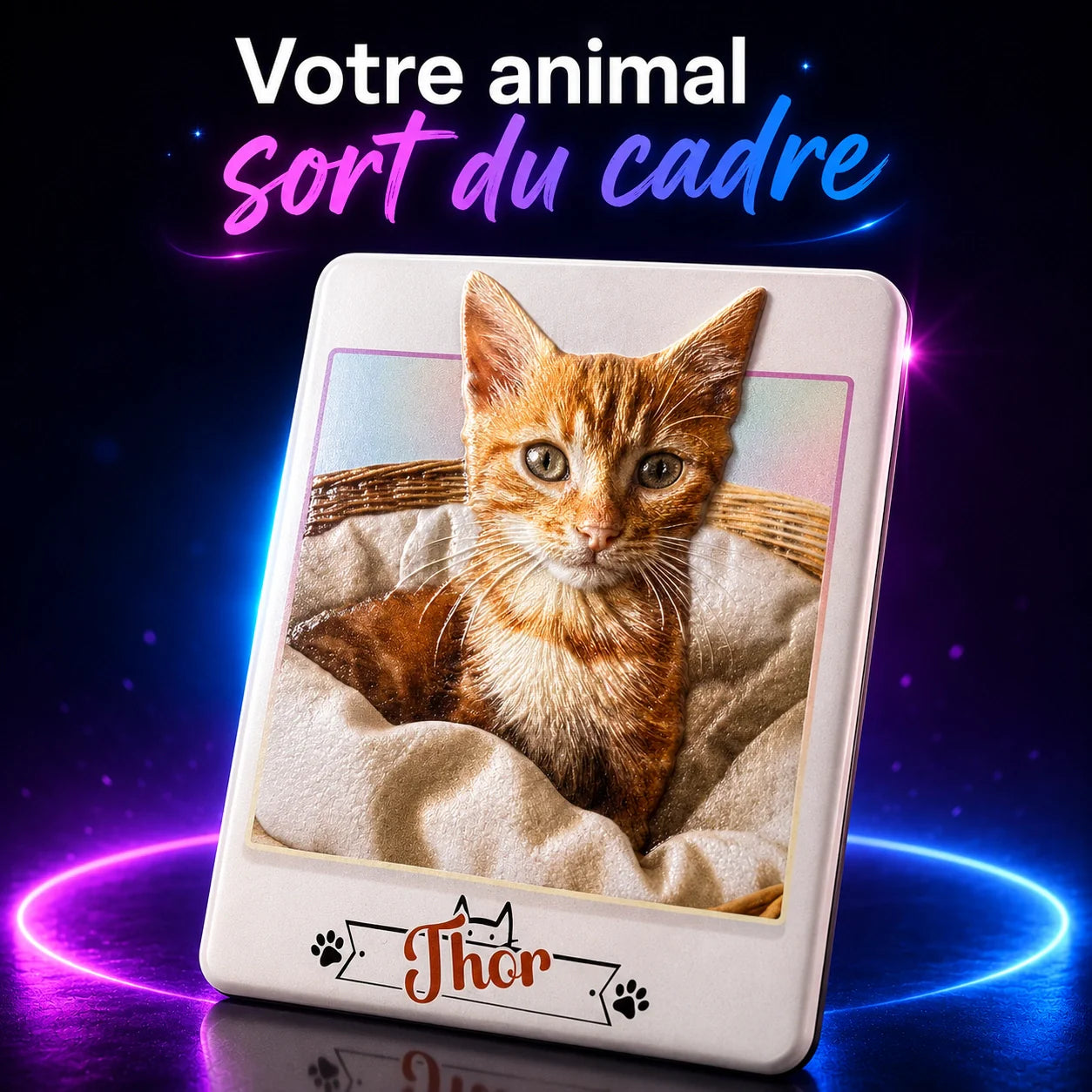 Magnet Animal — Effet Polaroid 3D