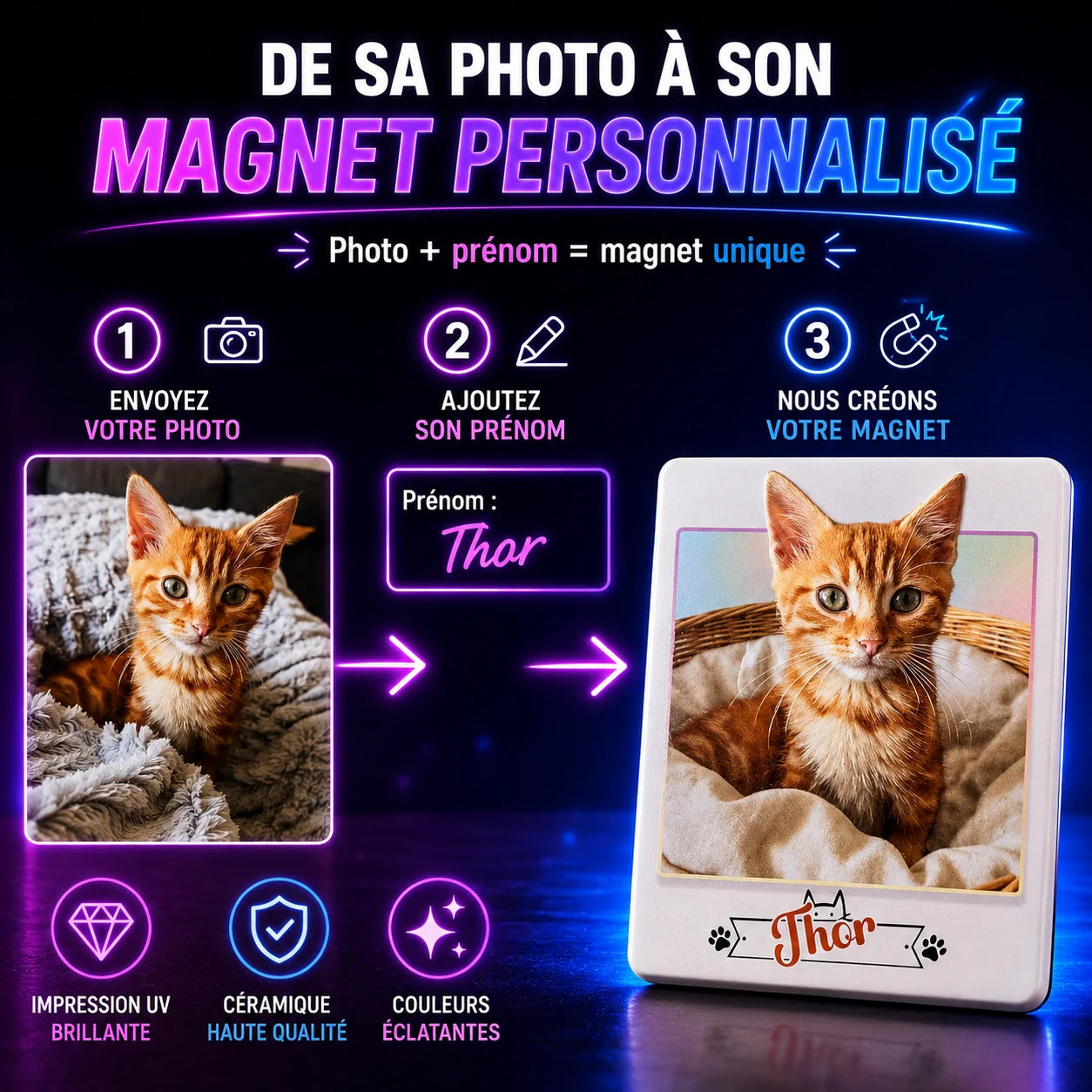Magnet Animal — Effet Polaroid 3D